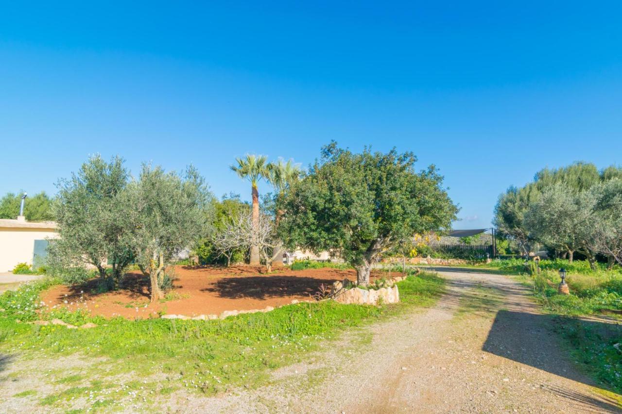 Villa Sa Tanqueta De Ses Roques Santanyi Esterno foto